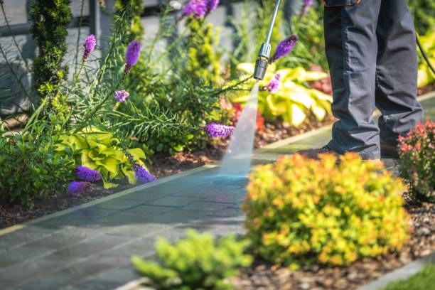 Best Fence Cleaning and Maintenance in Dysart, IA